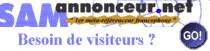 L'annonceur